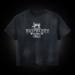 Load image into Gallery viewer, GLOBAL PEACE TEE
