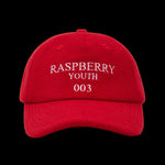 Load image into Gallery viewer, HASHBROWN HAT
