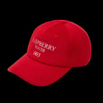 Load image into Gallery viewer, HASHBROWN HAT
