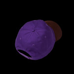 Load image into Gallery viewer, BERRY FUTURE HAT
