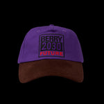 Load image into Gallery viewer, BERRY FUTURE HAT

